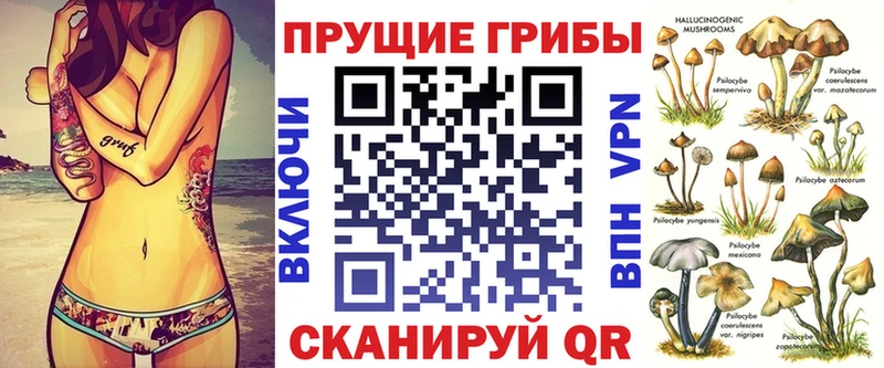 где можно купить наркотик  Разумное  Псилоцибиновые грибы Magic Shrooms 
